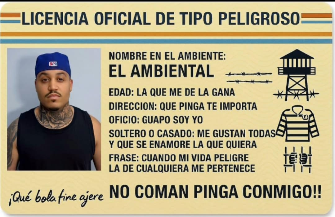 Licencia Oficial de Tipo Peligroso - El Ambiental
